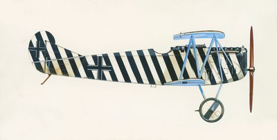 Fokker D VII da English School