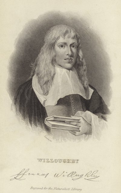 Francis Willughby da English School
