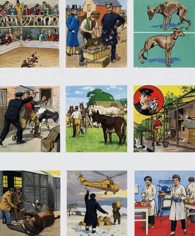 Da allora fino ad ora: La storia della RSPCA da English School