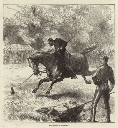 Copertina del Illustrated London News, 12 giugno 1875 da English School