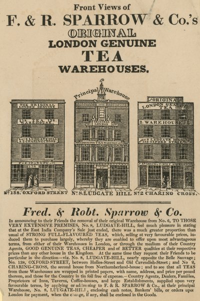 Vedute frontali dei magazzini Fred & Robert Sparrow & Co da English School