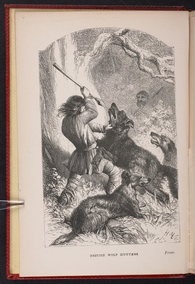 Frontespizio da The British Wolf-Hunters da English School