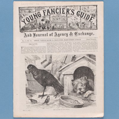 Frontespizio da The Young Fanciers Guide, 1874 da English School
