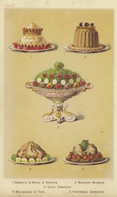 Piatti di frutta e pollame da English School