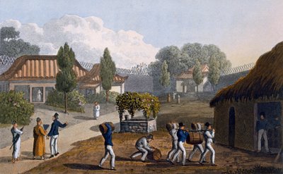 Giardino del Tempio di Lewchew, 1820 da English School