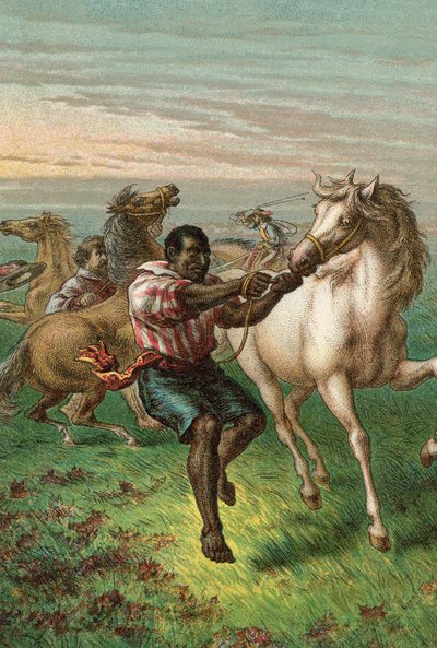 I soldati di Garibaldi che domano cavalli selvaggi da English School