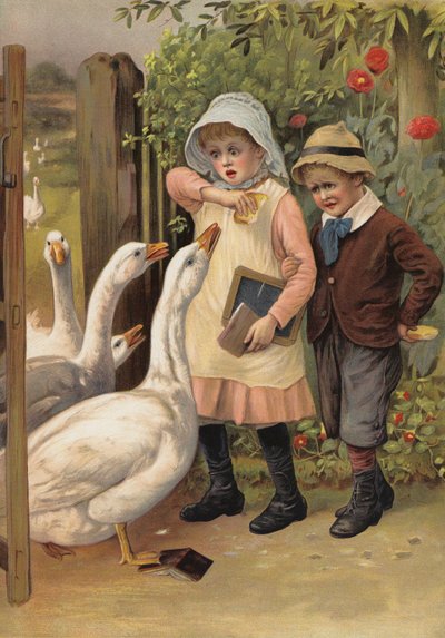 Oche che inseguono bambini per il loro cibo da English School