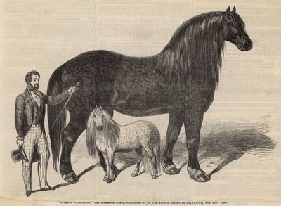 Generale Washington, il cavallo mammut da English School