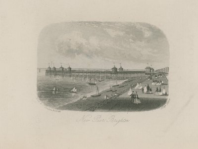 Veduta generale del nuovo molo di Brighton da English School