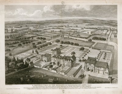 Veduta generale dei resti dell