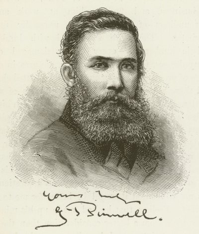 George John Pinwell da English School