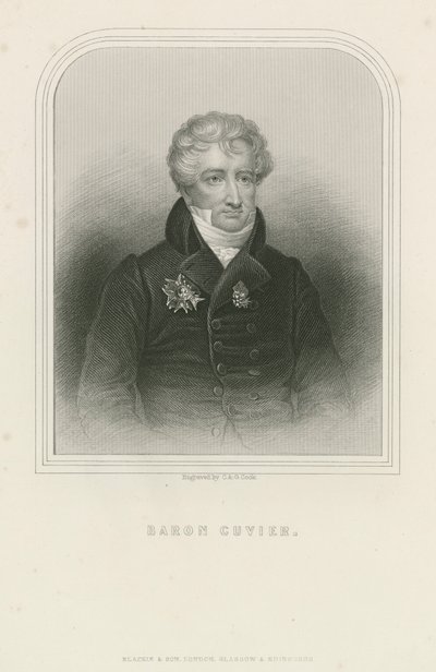 Georges Cuvier, naturalista e zoologo francese da English School