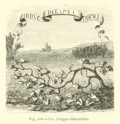 Giovanni Filippo Gherardini da English School