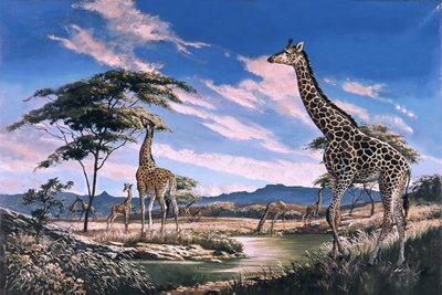 Giraffe in Africa da English School
