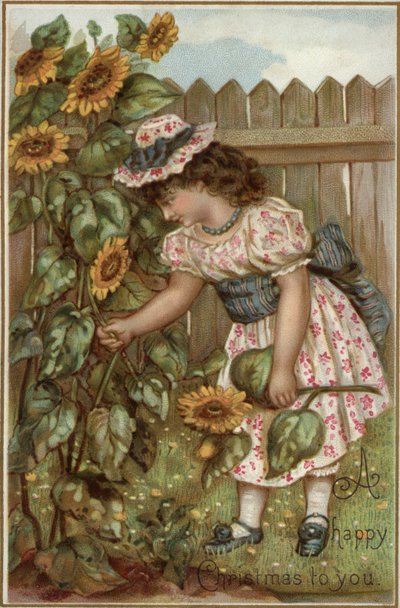 Ragazza che raccoglie girasoli in un giardino da English School