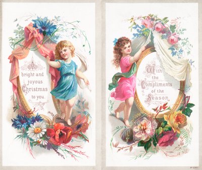 Ragazze e fiori da English School