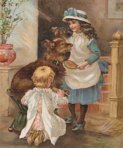 Ragazze che pettinano il loro cane da English School
