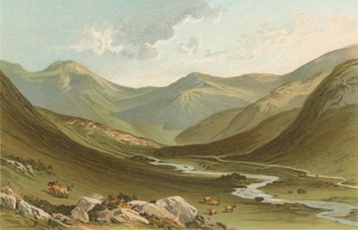 Glen Nevis da English School