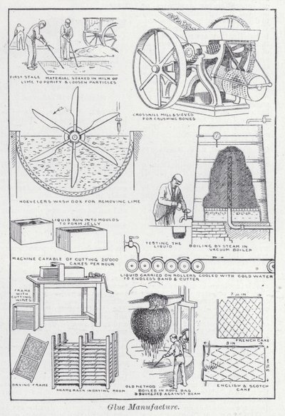 Fabbricazione della colla da English School