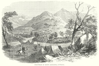 Campi d