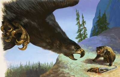 Aquila reale attacca un orso per un animale in trappola da English School