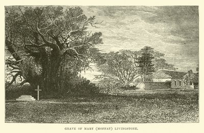 Tomba di Mary (Moffat) Livingstone da English School