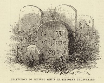 Lapide di Gilbert White nel Cimitero della Chiesa di Selborne da English School
