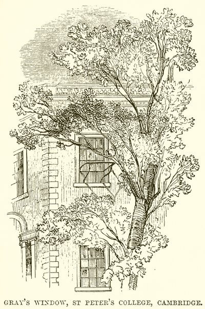 Finestra di Gray, St. Peter