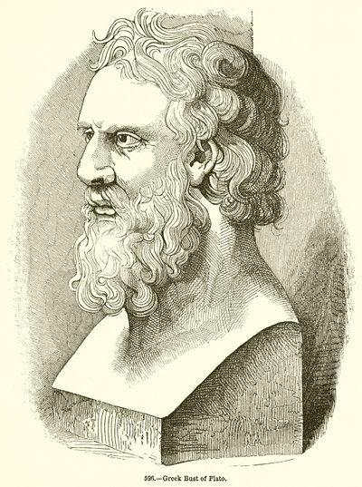Busto greco di Platone da English School