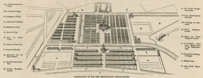 Piano del nuovo Mercato del Bestiame Metropolitano, Copenhagen Fields da English School