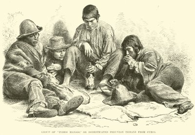 Gruppo di Indios Mansos, o indiani peruviani domestici di Cuzco da English School