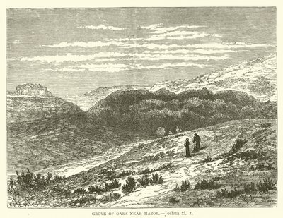 Bosco di Querce vicino a Hazor, Giosuè, xi da English School