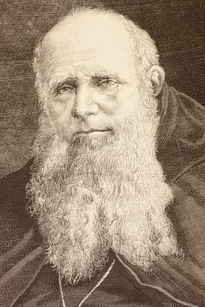 Guglielmo Massaia da English School