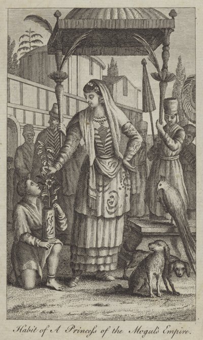 Abito di una Principessa dell