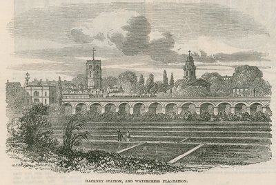 Stazione di Hackney e piantagione di crescione, Londra da English School