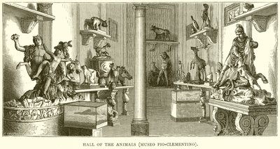 Sala degli Animali (Museo Pio-Clementino) da English School