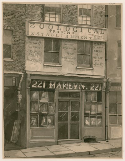 Commercio Zoologico di Hamlyn, 221 St Georges Street, London Docks da English School