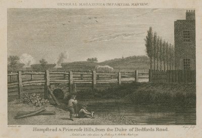 Hampstead e Primrose Hills, dalla strada del Duca di Bedford da English School