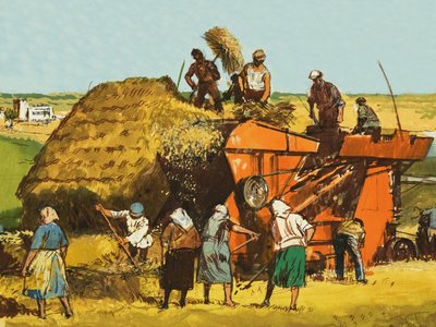 Raccolta del grano da English School