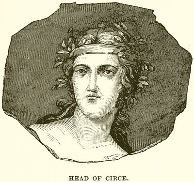 Testa di Circe da English School