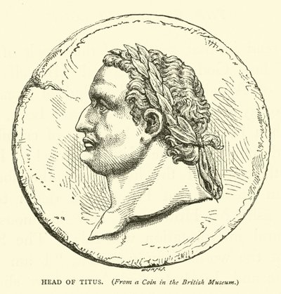 Testa di Tito da English School