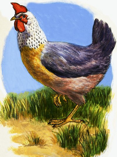 Gallina da English School