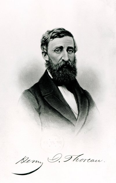 Henry David Thoreau (1817-62) da English School
