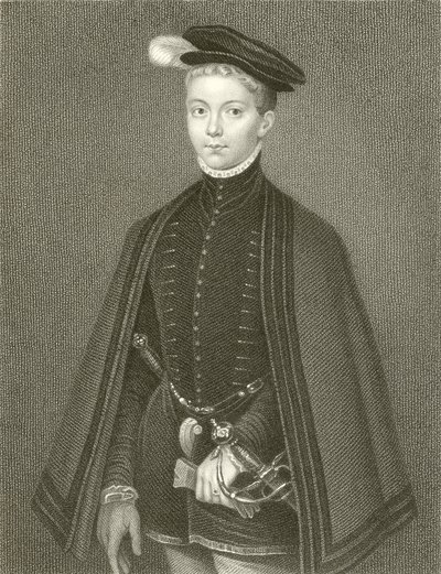 Henry Stuart, Lord Darnley, Re di Scozia da English School