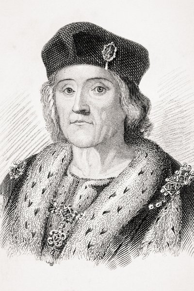 Enrico VII d