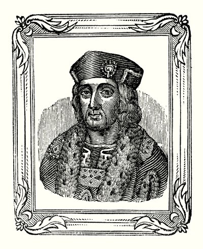 Enrico VII nato nel 1457, incoronato nel 1485, morto nel 1509 da English School
