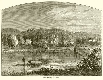 Laghi di Highgate da English School