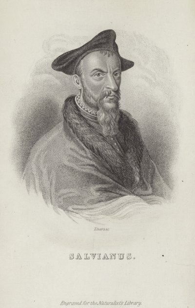 Hippolito Salviani, naturalista italiano da English School