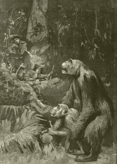 Casa del gorilla (incisione) da English School
