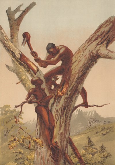 Cacciatori di miele, Zambezia da English School